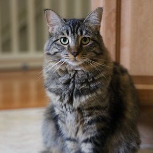 Meet your Posher, tmoney